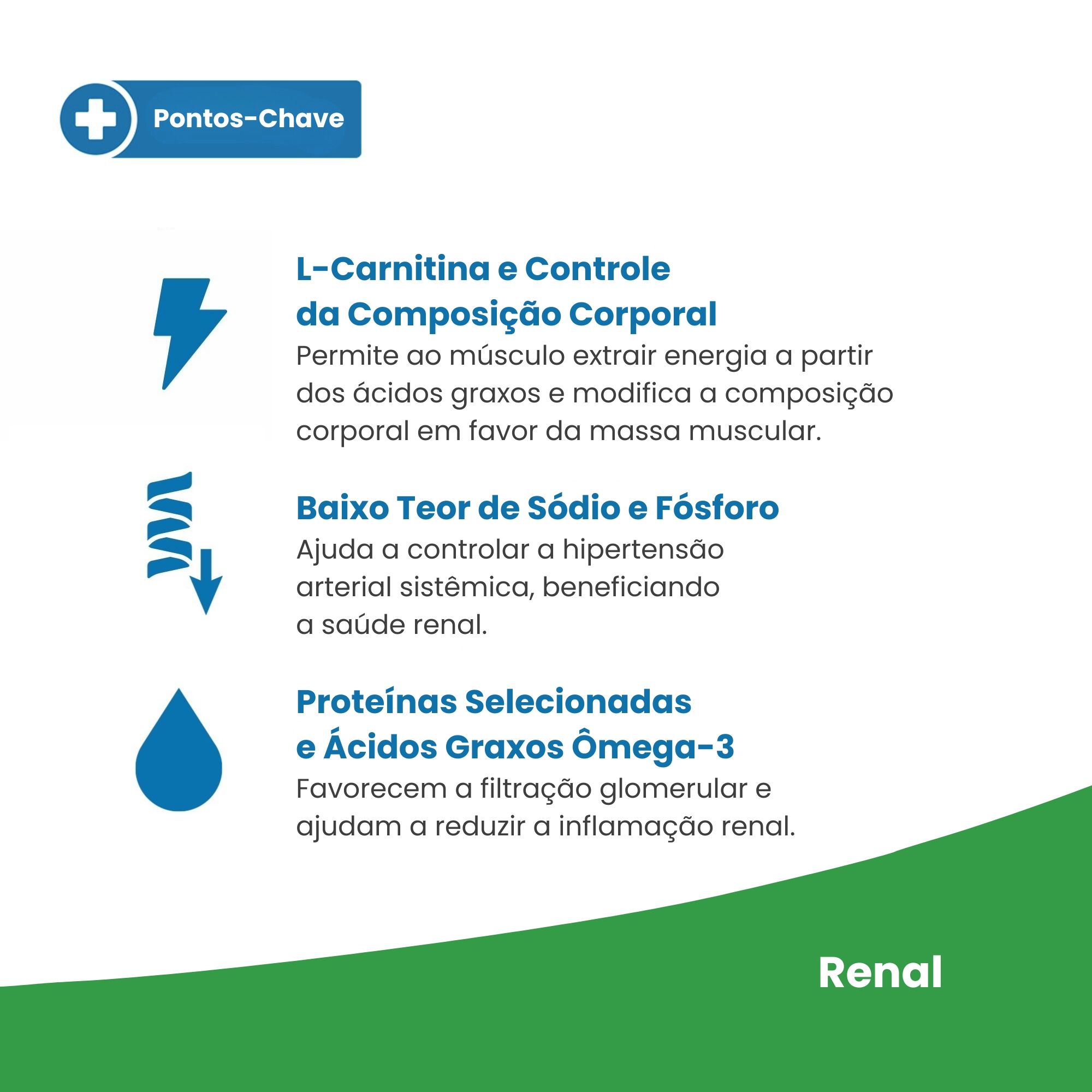 Vet Life Renal para Gatos Adultos de Tod ...