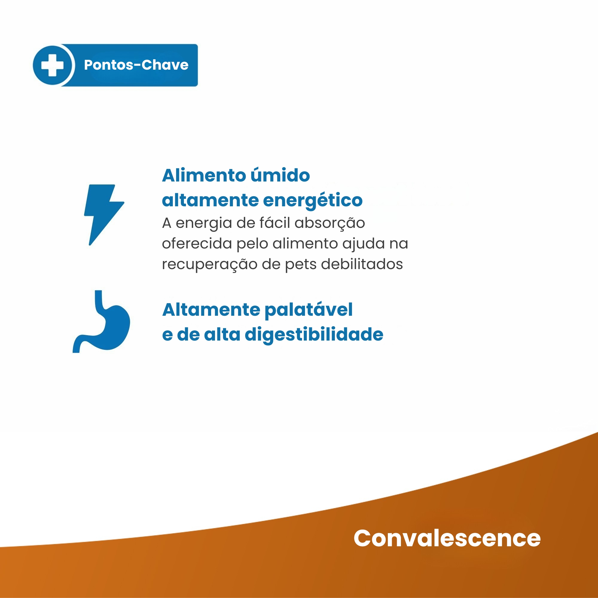 Ração Umida Vet Life Renal para Gatos Adu...