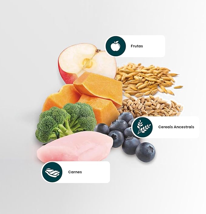 N&D Ancestral Grain para Cães Adultos de ...