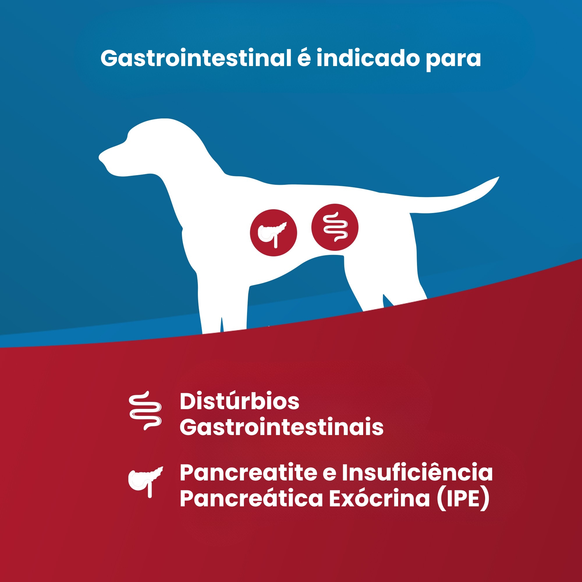 Ração Umida Vet Life Gastrointestinal par...