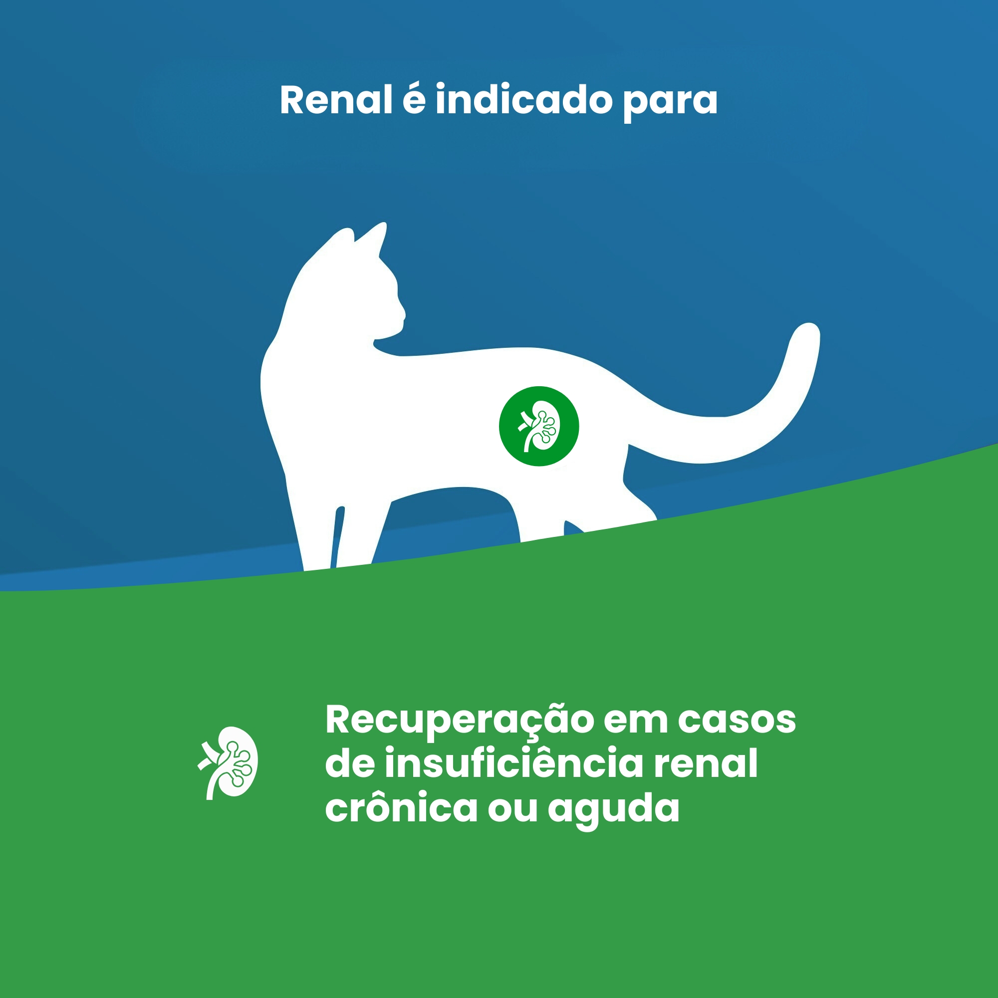 Vet Life Renal para Gatos Adultos de Toda...