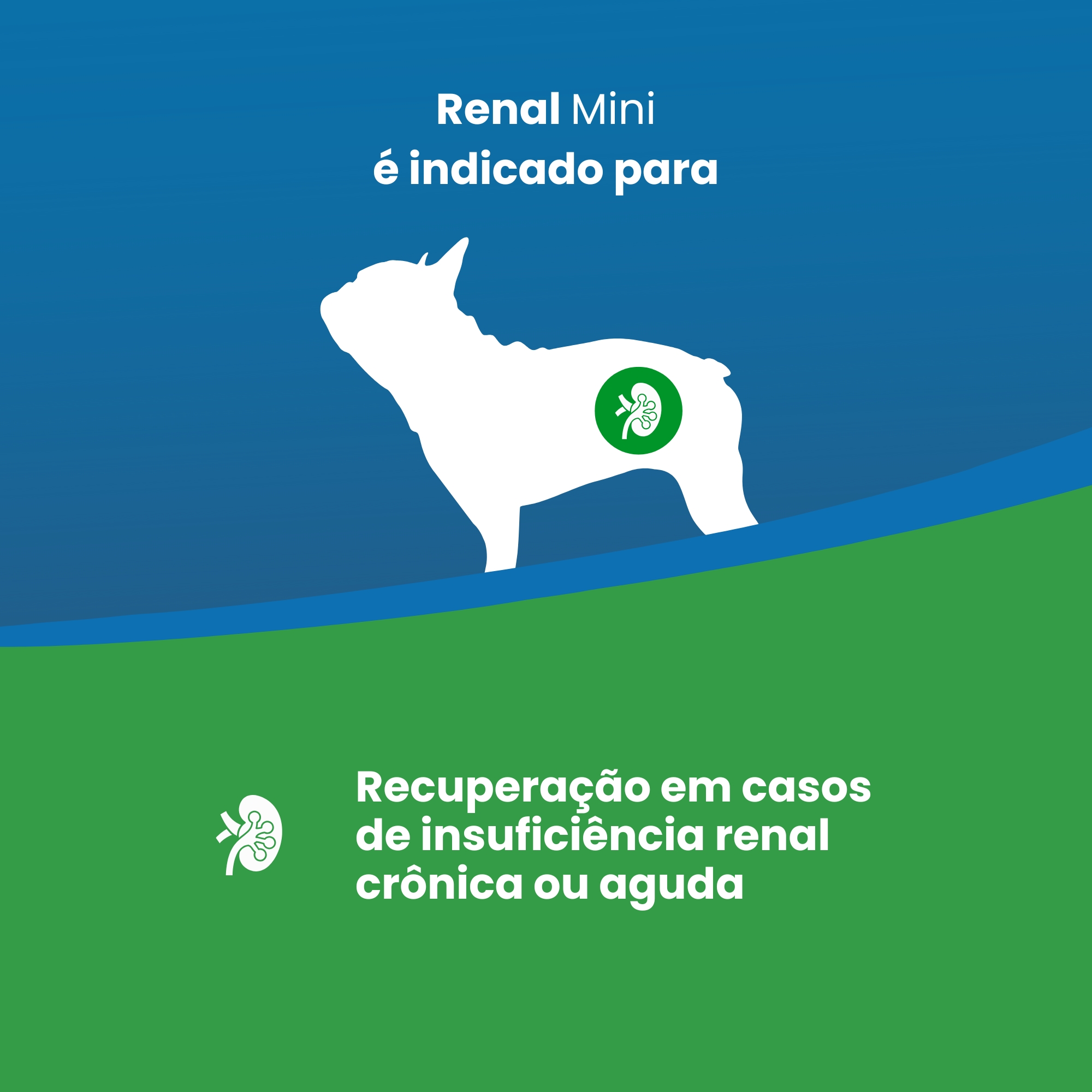 Vet Life Renal para Cães Adultos de Raças...