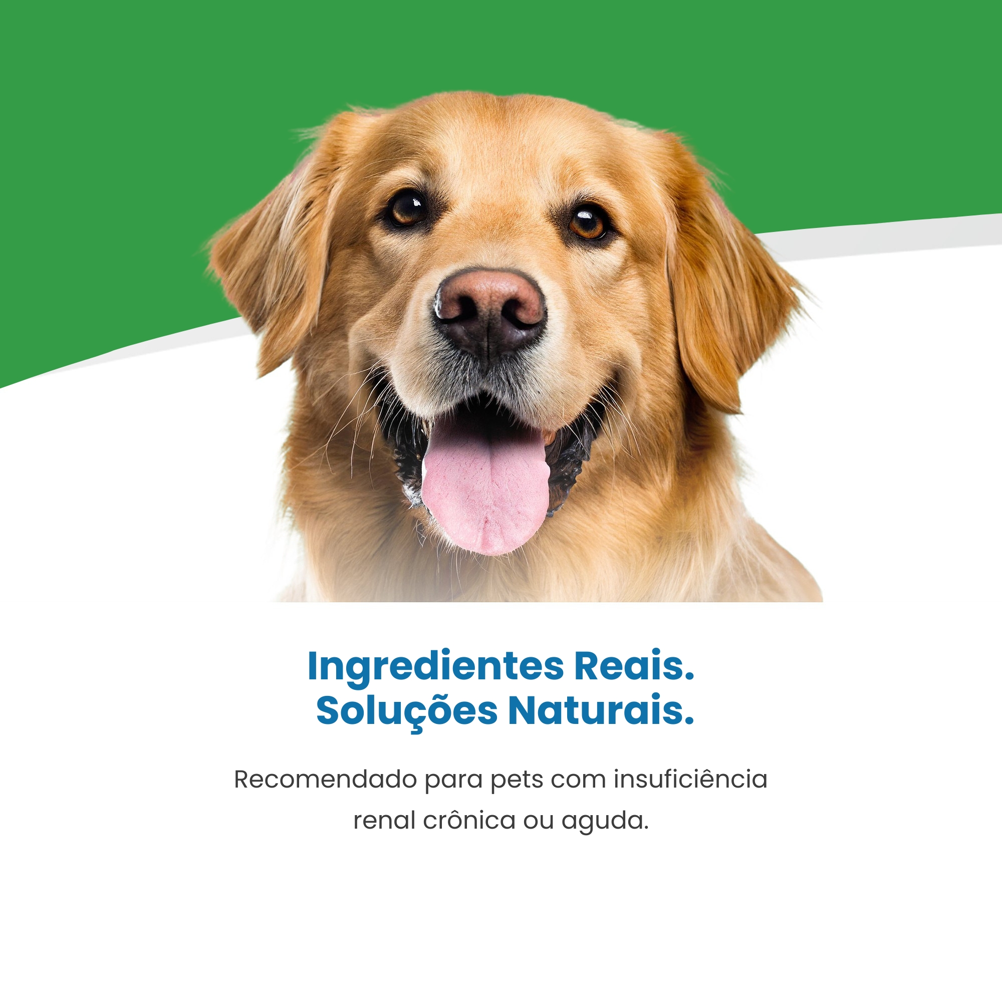 Ração Umida Vet Life Renal para Cães Adul...