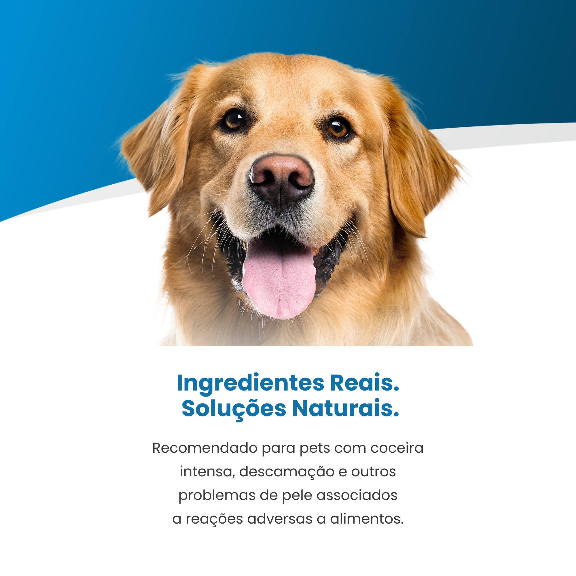 Ração Umida Vet Life Hypoallergenic Pork ...